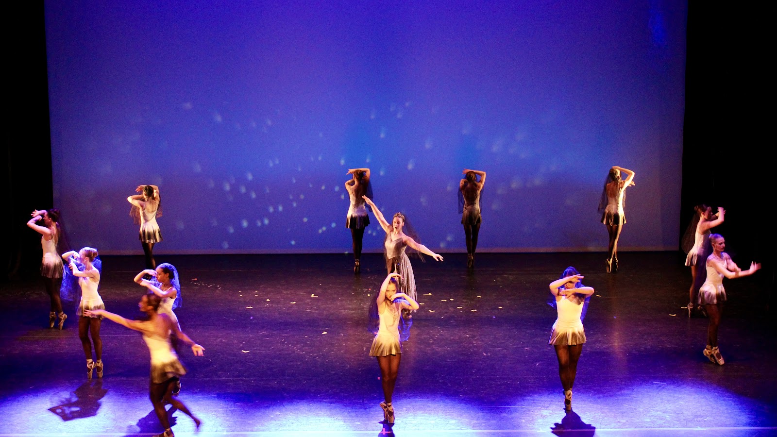 Black Swamp Fine Arts School — Bowling Green