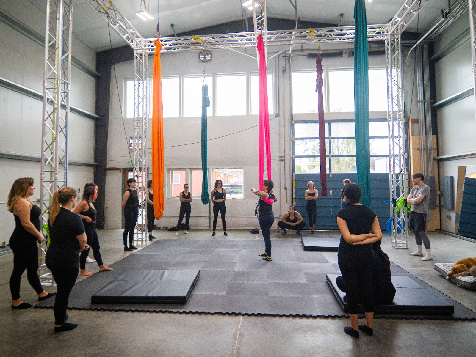 Bellingham Aerial and Dance — Bellingham