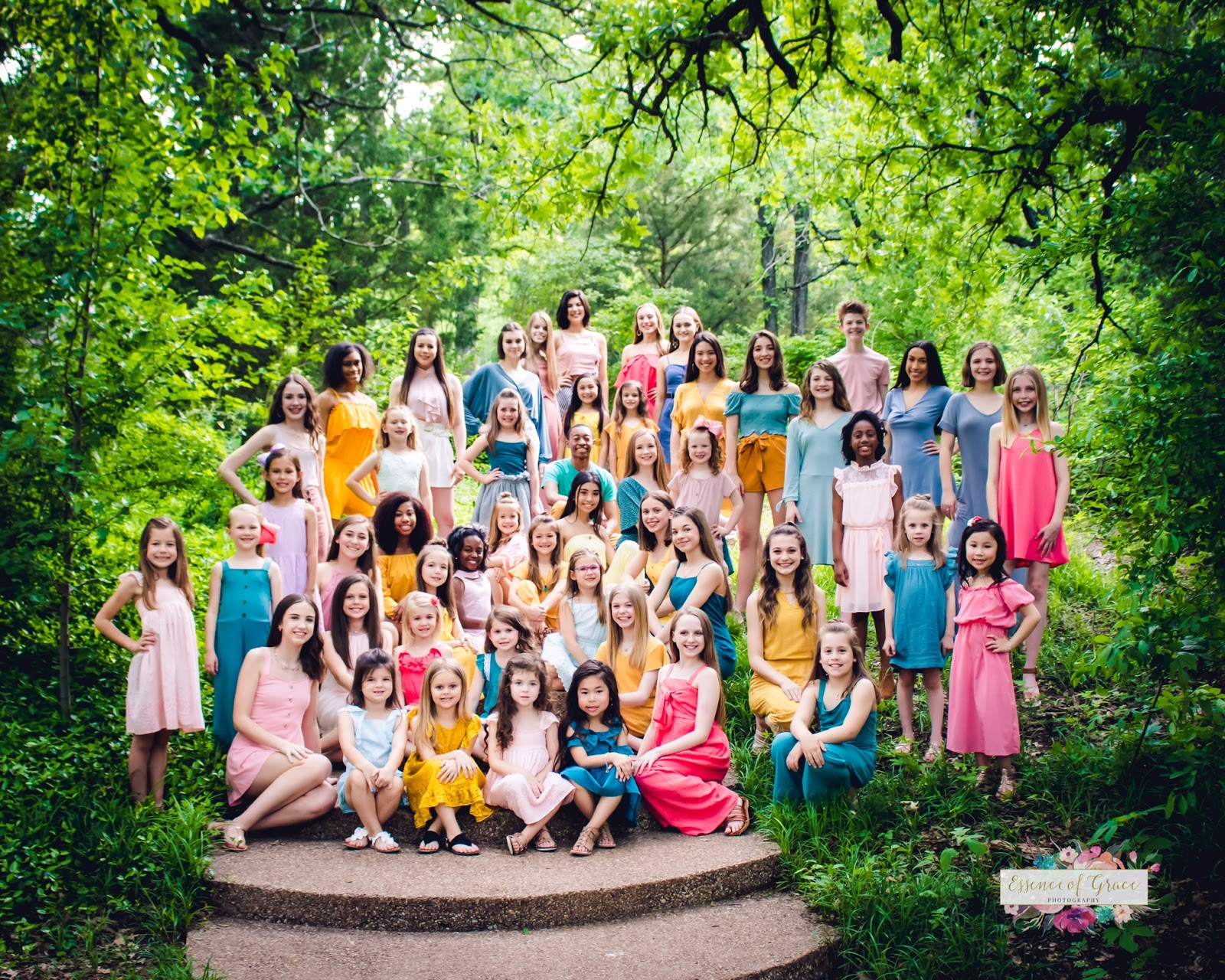 Momentum Dance — Arlington