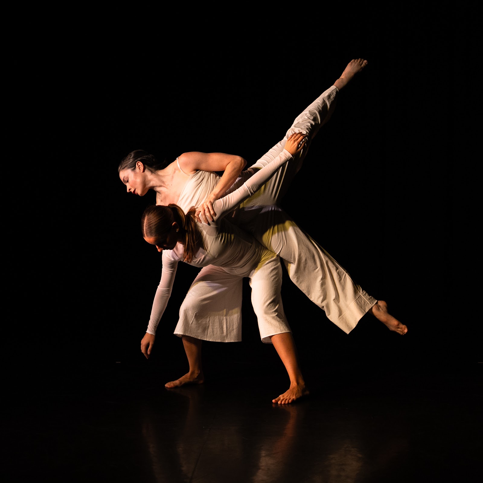 Malashock Dance — San Diego