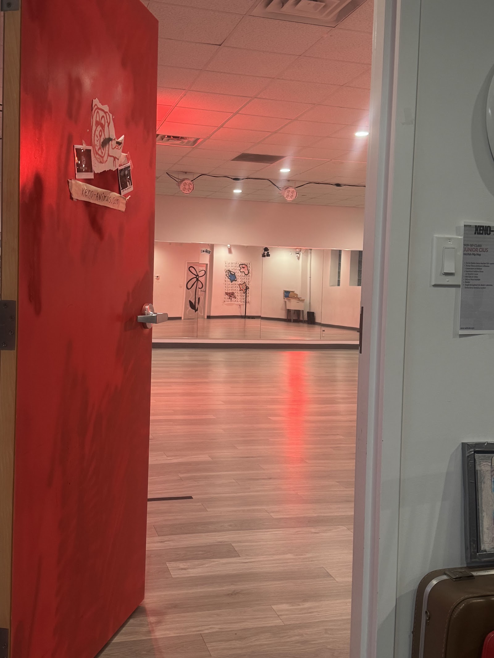 Xeno-Animals Dance Studio — Brookline