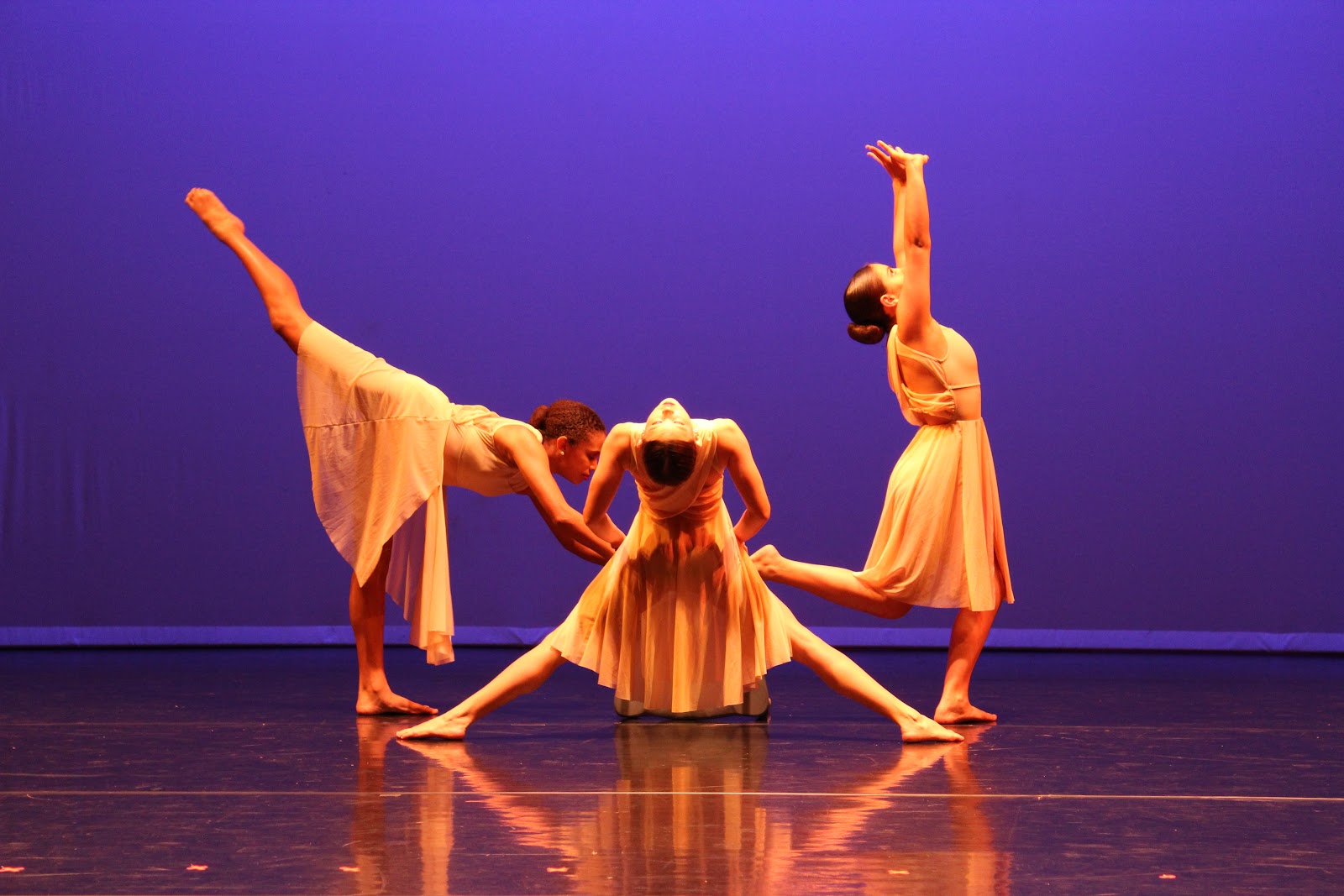 Dancebox Studio — Tampa