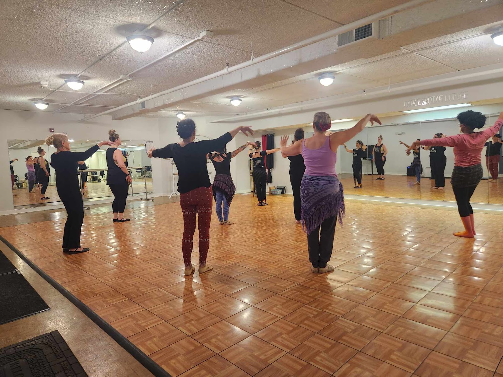 Dianella Dance a FatChanceBellyDance®Style Partner Studio in Naperville — Naperville