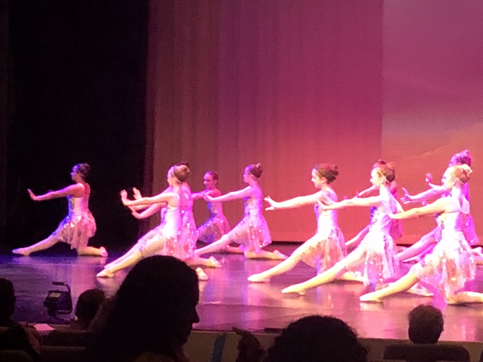Academy of Dance Arts Inc — Comstock Park