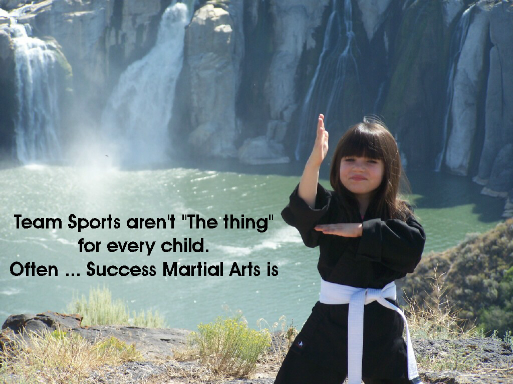 Success Martial Arts ( Twin Falls ) — Twin Falls