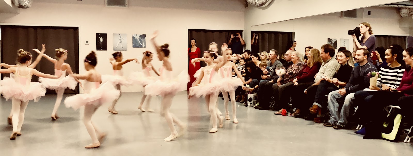 Onyx Studio 2 — Sarasota