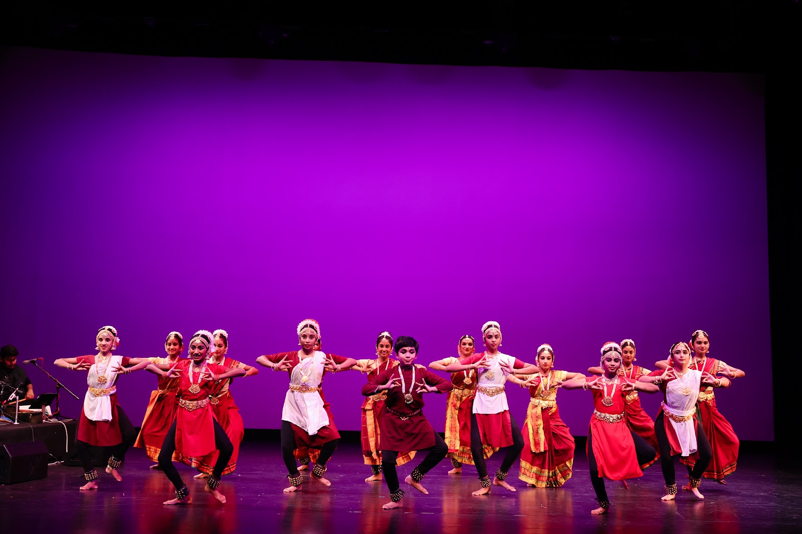 Acharya Performing Arts Academy Inc — Aurora