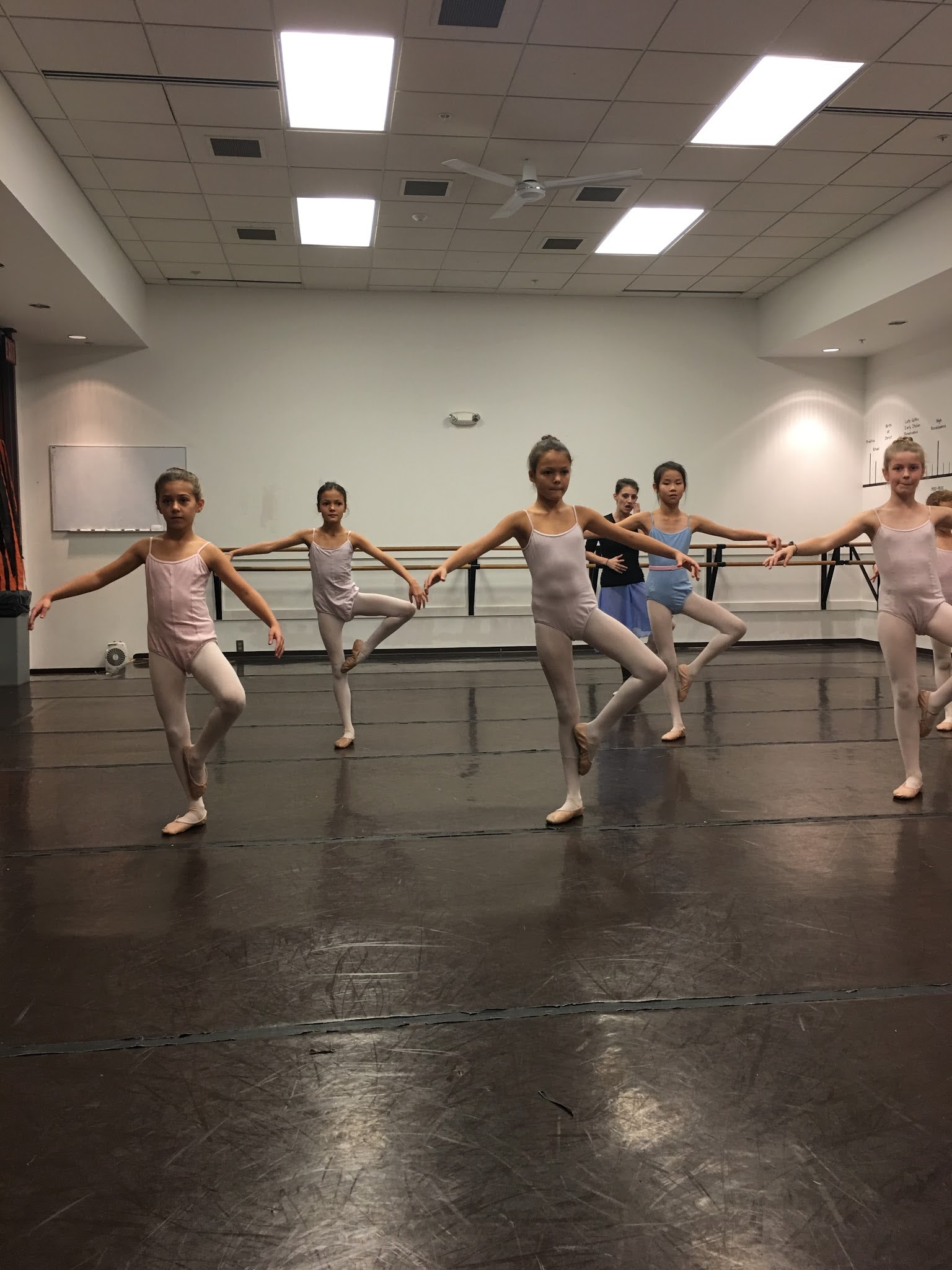Fort Wayne Ballet — Fort Wayne