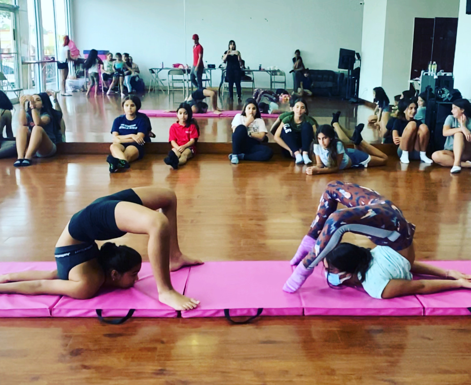 Mundo Arte Tampa LLC — Town 'N' Country