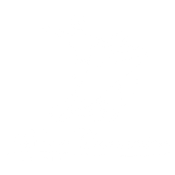 Dance Connection logo
