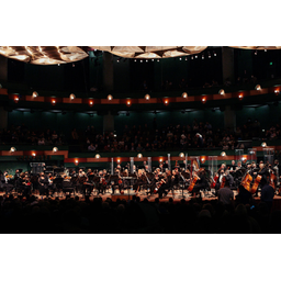 Corpus Christi Symphony Orchestra logo