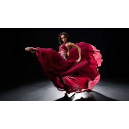 New York Latin Culture Magazine® logo