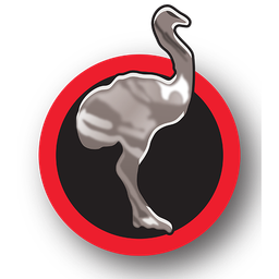 Sesame Flyers International, Inc. logo