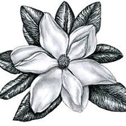 Piedmont Cotillions, LLC logo