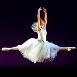 City Ballet of Cleveland, formerly Cleveland City Dance Company logo