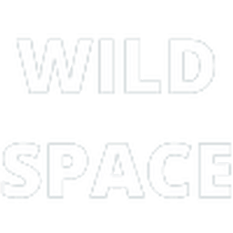 Wild Space Dance Co logo