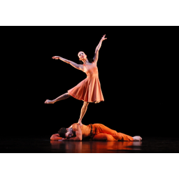 Paul Taylor Dance Company logo