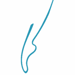 COVENANT BALLET THEATRE OF BROOKLYN logo