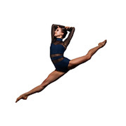 Ballet Arkansas logo