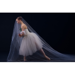 GREENSBORO BALLET INC logo