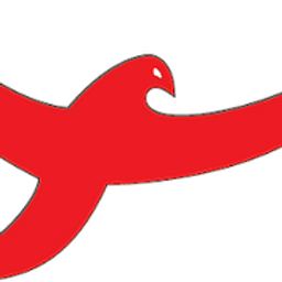 Fenix Drum and Dance Company logo