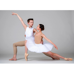 ART BALLET ACADEMY, LLC logo