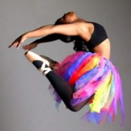 Dance With Paisley logo