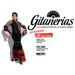 Studio Casa de Flamenco logo