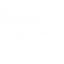 Born Dance Company logo