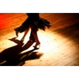 Take My Lead - Murisa Harba Ballroom Dance logo