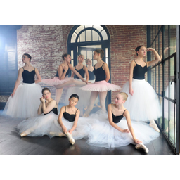 Columbus State University Youth Dance Conservatory logo