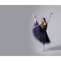 Dance Destinations By Sonia J logo