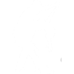 Step By Step Dance Studio logo