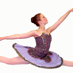 Nashoba Valley Dance Academy logo