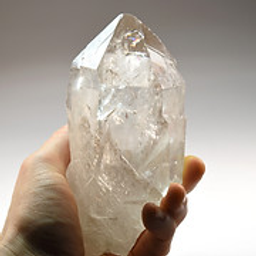 Bellydancer Jordan Sun logo