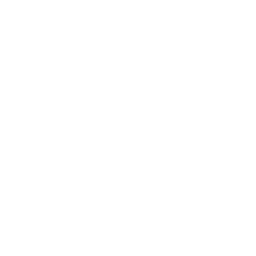 LionsRoad Studios logo