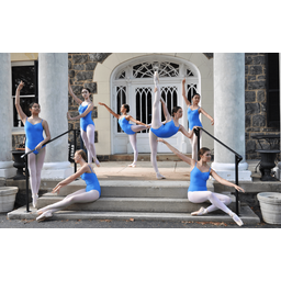 Virginia Dance Conservatory logo