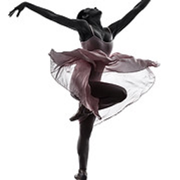 Variations Dance Academy Madison, WI logo