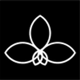 International Dance Studio logo