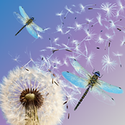 Balancing Vibrations YOGA Studio logo