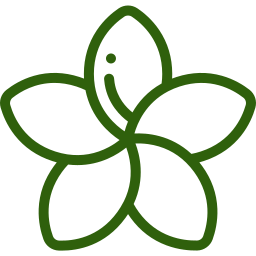 Ohana Dance Group / Kūhai Hālau O Kaponookalani Pā ‘Ōlapa Kahiko logo