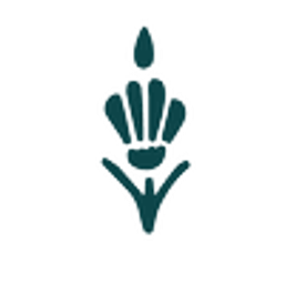 Rio Dance Studio logo