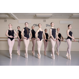 Studio Pulse Center for Dance + The Annex Yoga & Dance Fitness logo