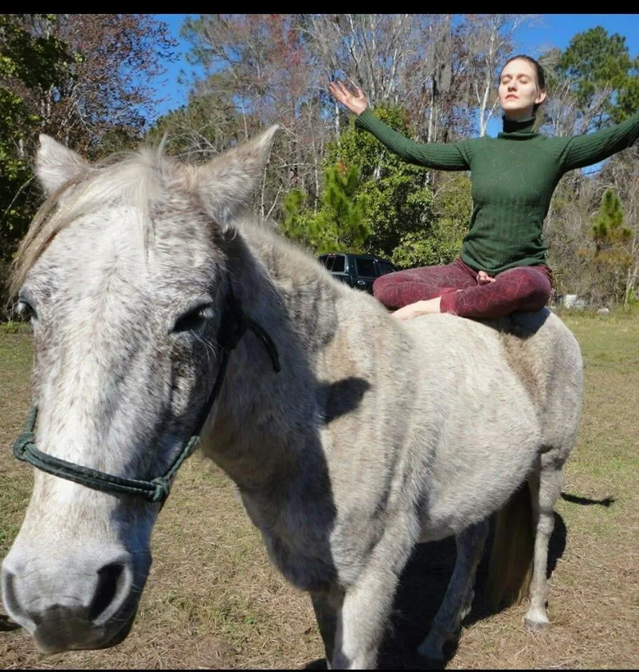 Sunrise Latin Dance and Fitness — photo 12